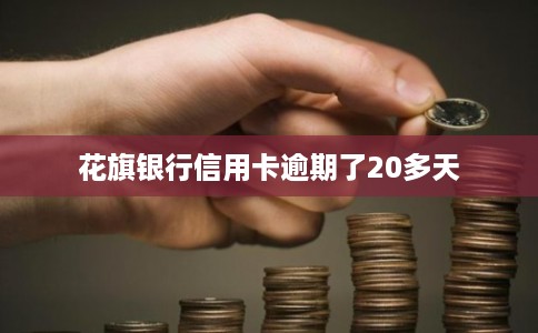 花旗银行信用卡逾期了20多天