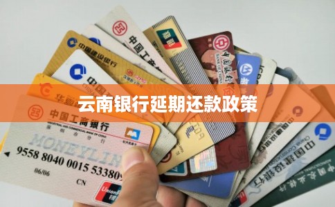 云南银行延期还款政策