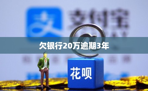 欠银行20万逾期3年