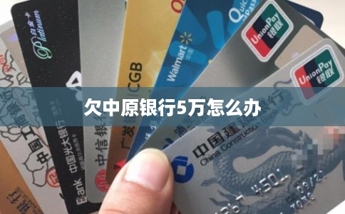 欠中原银行5万怎么办
