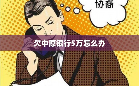 欠中原银行5万怎么办