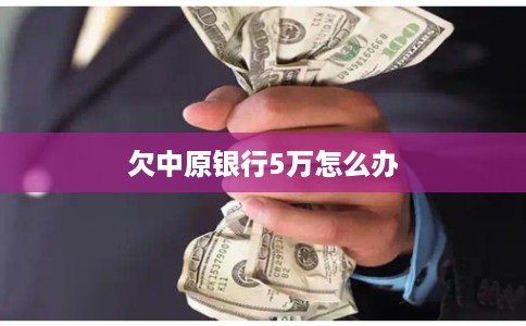 欠中原银行5万怎么办