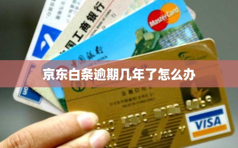 京东白条逾期几年了怎么办 京东白条逾期几年了怎么办