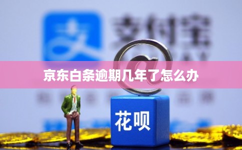京东白条逾期几年了怎么办 京东白条逾期几年了怎么办