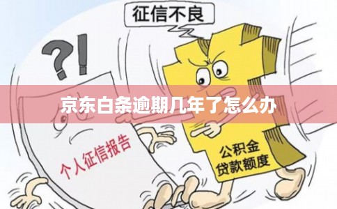 京东白条逾期几年了怎么办