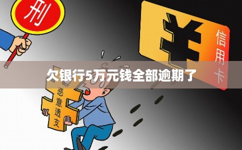 欠银行5万元钱全部逾期了