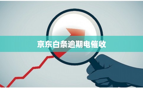 京东白条逾期电催收 京东白条逾期电催收