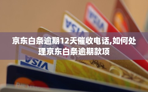 京东白条逾期12天催收电话,如何处理京东白条逾期款项 京东白条逾期12天催收电话,如何处理京东白条逾期款项