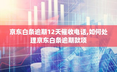 京东白条逾期12天催收电话,如何处理京东白条逾期款项 京东白条逾期12天催收电话,如何处理京东白条逾期款项