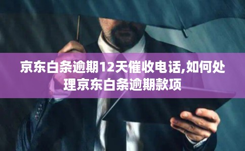 京东白条逾期12天催收电话,如何处理京东白条逾期款项 京东白条逾期12天催收电话,如何处理京东白条逾期款项