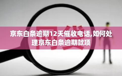 京东白条逾期12天催收电话,如何处理京东白条逾期款项 京东白条逾期12天催收电话,如何处理京东白条逾期款项