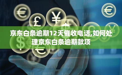 京东白条逾期12天催收电话,如何处理京东白条逾期款项