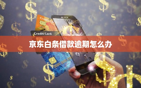 京东白条借款逾期怎么办 京东白条借款逾期怎么办