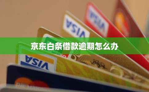 京东白条借款逾期怎么办 京东白条借款逾期怎么办