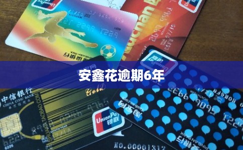 安鑫花逾期6年