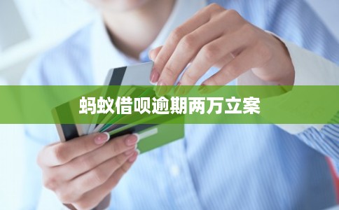 蚂蚁借呗逾期两万立案 蚂蚁借呗逾期两万立案