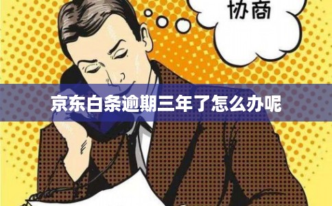 京东白条逾期三年了怎么办呢 京东白条逾期三年了怎么办呢