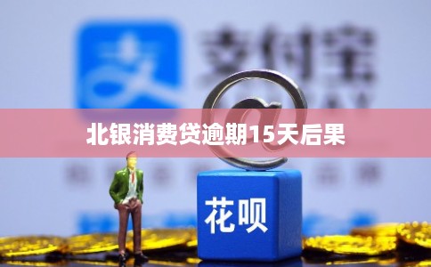 北银消费贷逾期15天后果