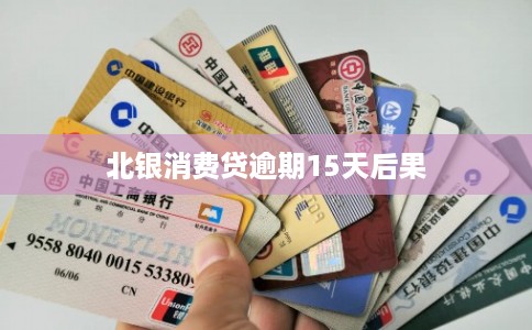 北银消费贷逾期15天后果