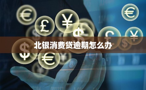 北银消费贷逾期怎么办