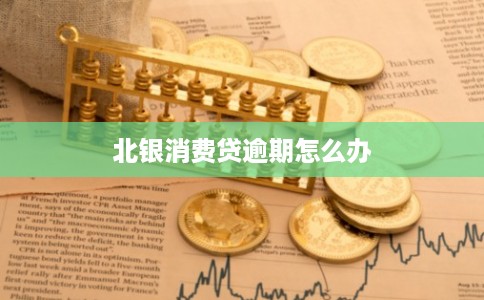 北银消费贷逾期怎么办