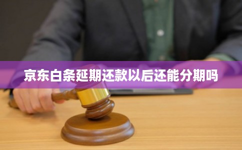 京东白条延期还款以后还能分期吗