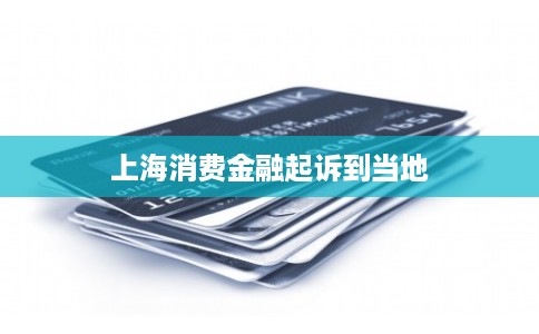 上海消费金融起诉到当地 上海消费金融起诉到当地