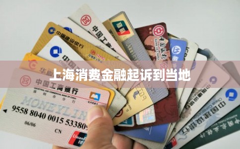 上海消费金融起诉到当地