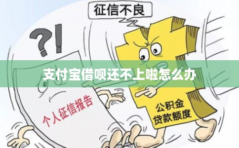 支付宝借呗还不上啦怎么办