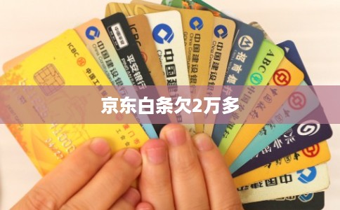京东白条欠2万多 京东白条欠2万多