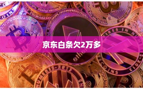 京东白条欠2万多