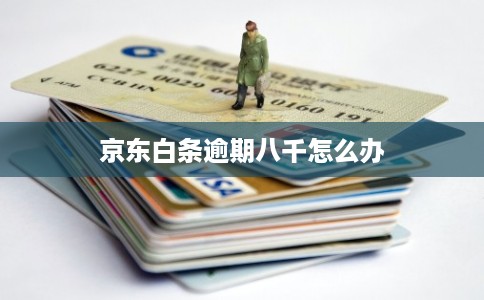 京东白条逾期八千怎么办 京东白条逾期八千怎么办