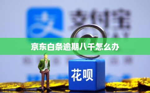 京东白条逾期八千怎么办 京东白条逾期八千怎么办