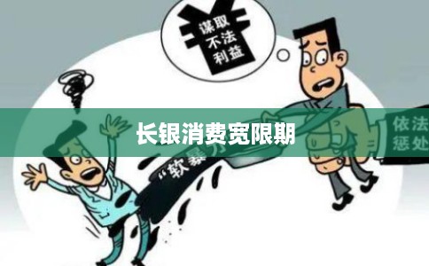 长银消费宽限期