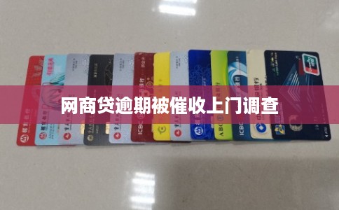网商贷逾期被催收上门调查