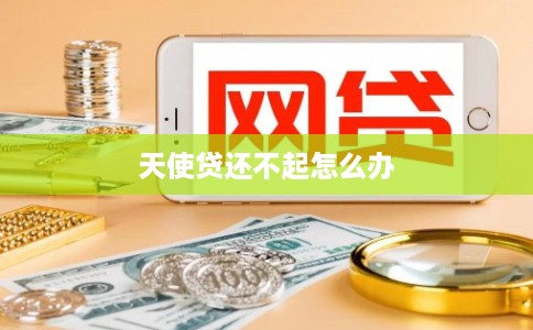 天使贷还不起怎么办
