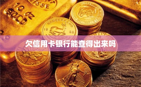 欠信用卡银行能查得出来吗