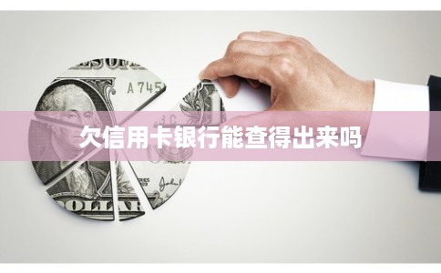 欠信用卡银行能查得出来吗