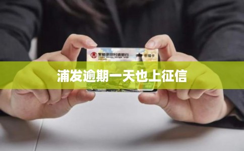 浦发逾期一天也上征信