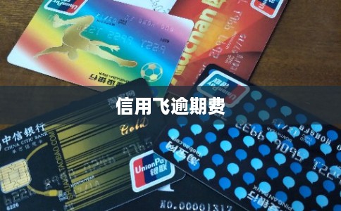 信用飞逾期费