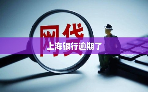 上海银行逾期了
