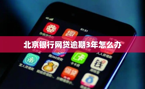 北京银行网贷逾期3年怎么办