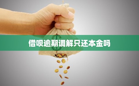 借呗逾期调解只还本金吗