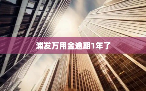 浦发万用金逾期1年了