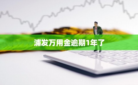 浦发万用金逾期1年了