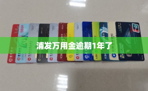 浦发万用金逾期1年了