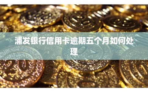 浦发银行信用卡逾期五个月如何处理