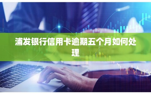 浦发银行信用卡逾期五个月如何处理