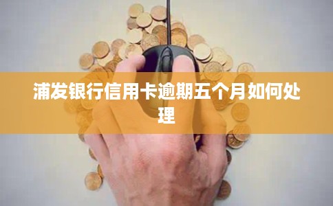 浦发银行信用卡逾期五个月如何处理