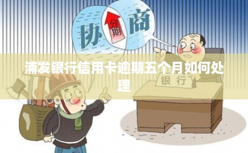 浦发银行信用卡逾期五个月如何处理